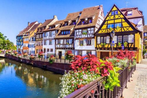 Apartment - Colmar Center - La Roseraie