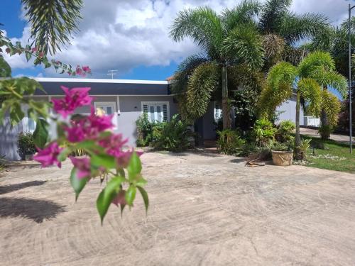 Gallery image of Hacienda El Palmar A in Vega Baja