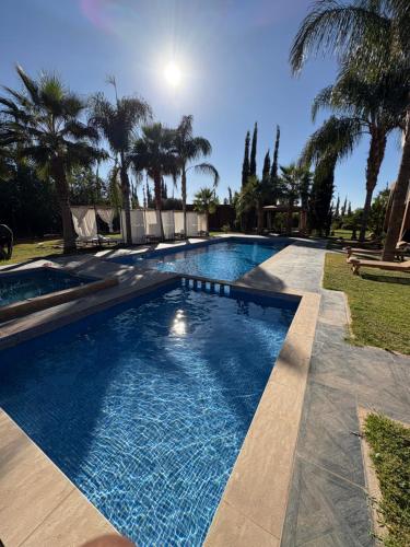 a swimming pool in a yard with palm trees at Villa Sofia And Spa in Marrakech
