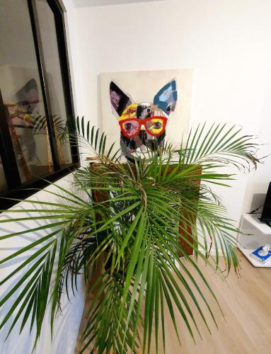 Eine Katze mit Brille sitzt hinter einer Pflanze. in der Unterkunft Appartement Saint Martin in Ussel