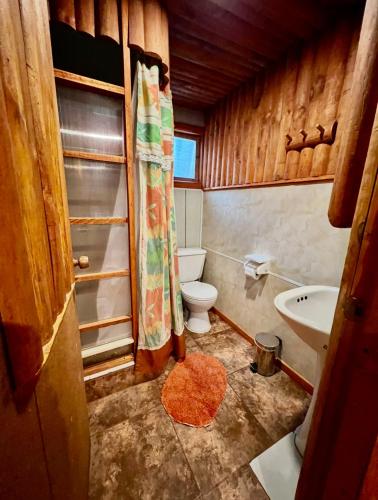 a bathroom with a toilet and a sink at Salto del Indio - Cabañas Lemunantu in Manzanar