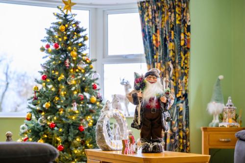 a statue of santa claus standing next to a christmas tree at Rosies Cottage in Rostrevor
