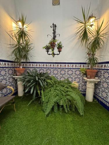 Charming patio apartment 1 min Cathedral