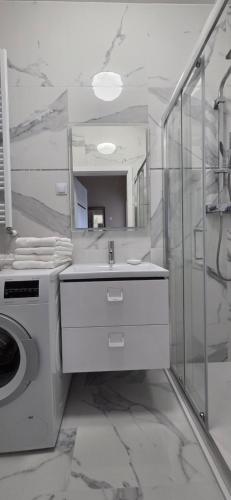 a bathroom with a sink and a washing machine at Apartament Srebrny Quick Park Oława in Oława