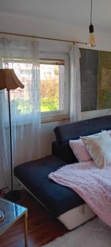 ein Schlafzimmer mit einem Bett und einem Fenster in der Unterkunft Bobby room in Rose resort, Ljubljana in Mrše