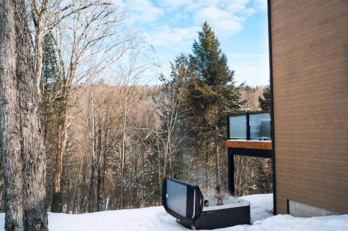un televisor sentado en la nieve junto a un árbol en Le Yéti de Tremblant, en La Conception