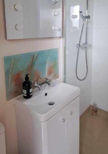 a white bathroom with a sink and a shower at Ty Heulwen Studio in St. Davids