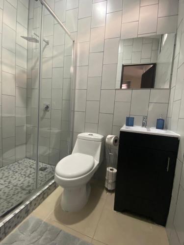 a bathroom with a toilet and a shower and a sink at Sole 1 