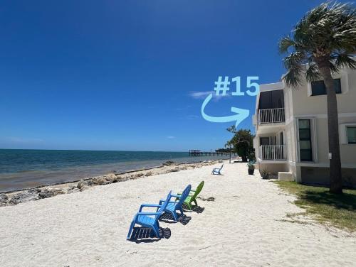 a row of beach chairs sitting on the beach at Bird of Paradise in Marathon