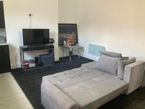 TV a/nebo společenská místnost v ubytování Flat 3, 260 Hawthorne Road