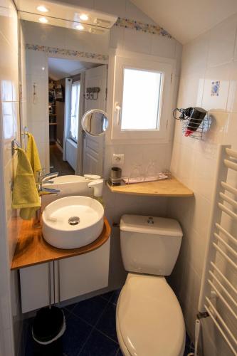a bathroom with a white toilet and a sink at La chambre d'hôtes d'Isa Moindron in Les Herbiers
