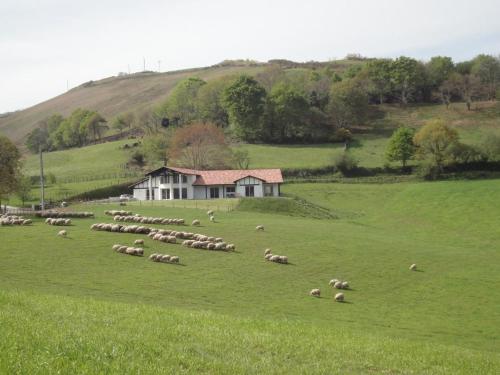Lur-xuri-bidean