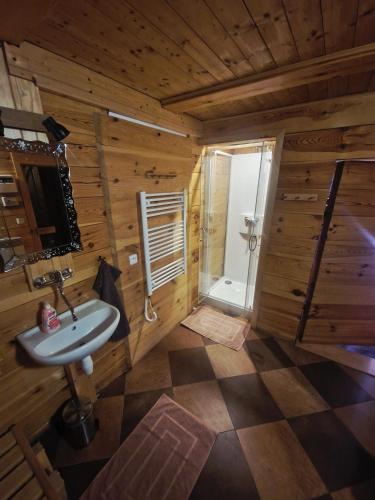 a bathroom with a sink and a shower in a cabin at Chalupa Pod lomem - Malá in Dolní Morava