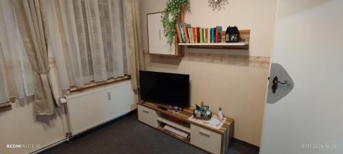 Телевизор и/или развлекательный центр в FW- Kunze - Wernigerode