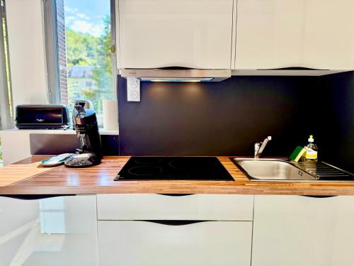 a kitchen with a sink and a counter top at Le Bernascon - Mezzanine et Calme in Aix-les-Bains