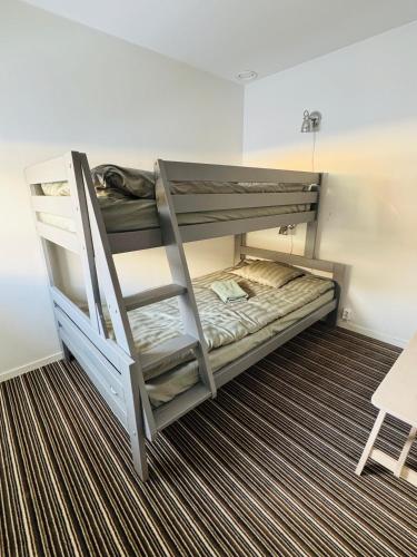 a bunk bed with a ladder in a room at Kittelfjäll Vandrarhem in Kittelfjäll