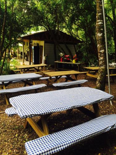 a group of picnic tables in front of a cabin at Cabañas Rahue in Vilches