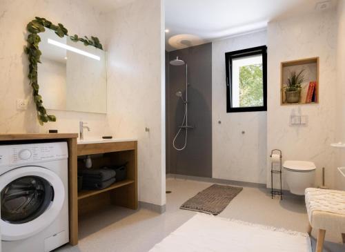 Un baño con lavadora y lavabo. en Le gite d'etxerria, en Arhansus