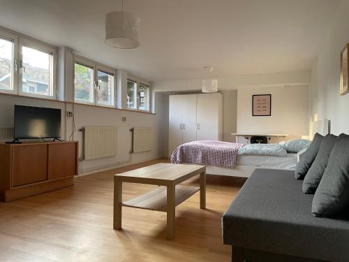 Μια τηλεόραση ή/και κέντρο ψυχαγωγίας στο Villa Room