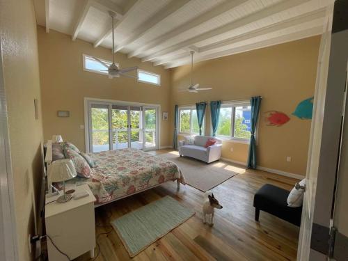 a bedroom with a bed and a cat in a room at Casa Viola - Utila in Utila