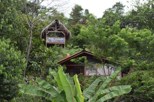 a small building in the midst of trees at MAYU PATANPI Amazon Lodges in Tarapoto