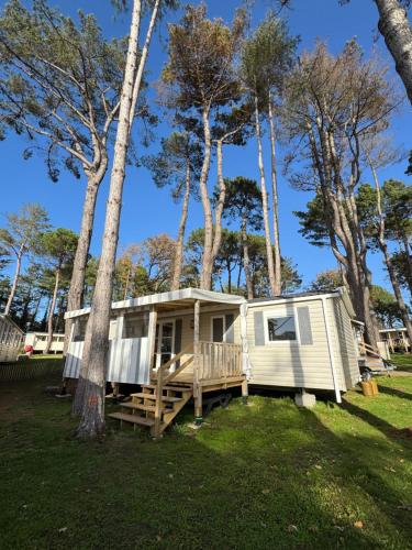 a mobile home in a yard with trees at Mobil home 6 à 8 personnes in Piriac-sur-Mer