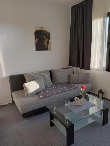 a living room with a couch and a glass table at Soleil et me in Burgtiefe auf Fehmarn 