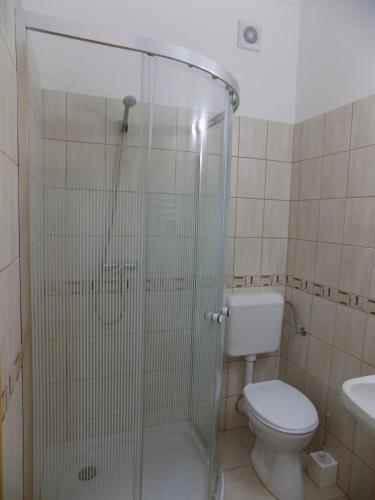a bathroom with a shower with a toilet and a sink at Bakterház Vendégház in Nagyvisnyó