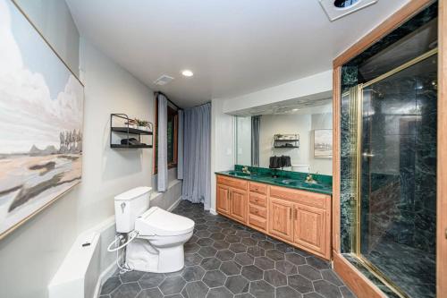 un bagno con wc, lavandino e doccia di The DodeCanopy a Columbia