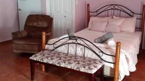 a bedroom with a bed and a chair at Hacienda El Palmar D in Vega Baja