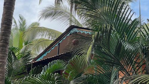 Φωτογραφία από το άλμπουμ του resort zulley σε Morjim