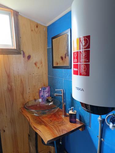 a bathroom with a glass sink in a room at DOMO Ecológico in Curacautín