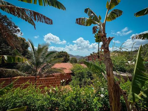Un platanero en un jardín con una pared de ladrillo. en Chácara Serra Dourada, en Mulungu
