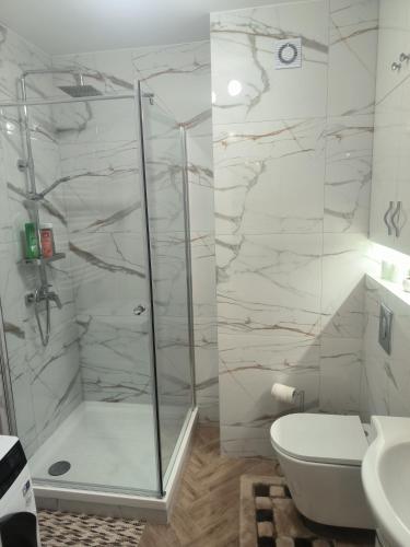a bathroom with a shower and a toilet and a sink at Apartament Mońki - Gold Center in Mońki