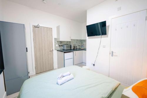 Η κουζίνα ή μικρή κουζίνα στο Cosy Cardiff Studio with Fast WiFi & Garden View
