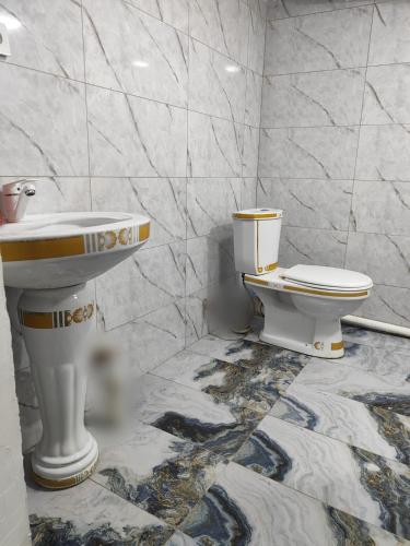 a bathroom with a sink and a toilet at Guest house Gosling in Almaty