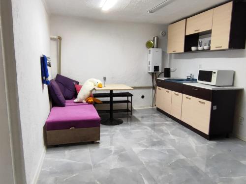 Η κουζίνα ή μικρή κουζίνα στο Guest house Gosling