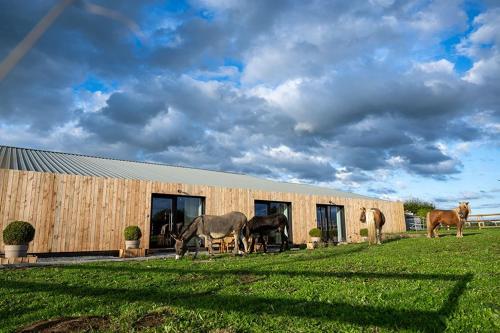 a group of horses standing in front of a building at Le Marzelheide 2 in Lontzen