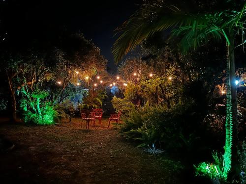 Ein Garten an der Unterkunft Encanto do Mar Praia do Rosa