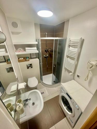 a bathroom with a shower and a sink and a toilet at Apartament na Starówce in Zamość