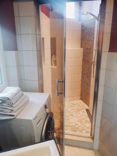 a bathroom with a shower with a glass door at Petite Charlotte in Tarnów