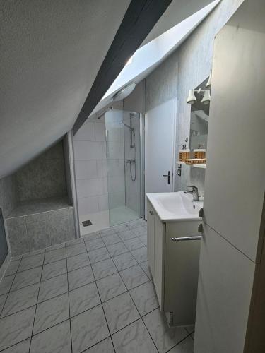 a bathroom with a shower and a sink and a toilet at Charming 3-room apartment in Thionville