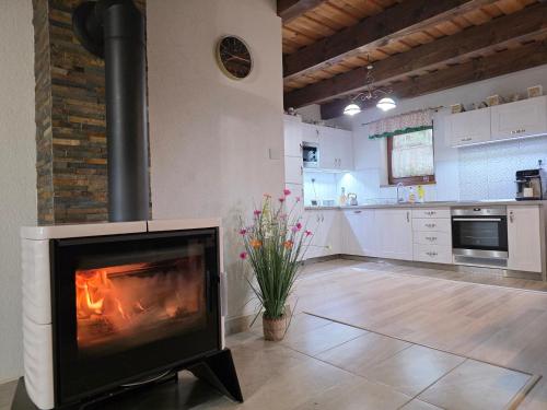 Kuchyň nebo kuchyňský kout v ubytování Wellness Chata Tatry