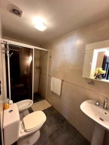 a bathroom with a toilet and a sink at depto a 1 cuadra de peatonal, luminoso con pile y cochera in Villa Carlos Paz