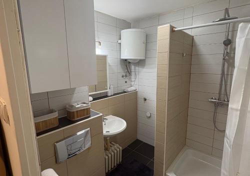 a small bathroom with a sink and a toilet at ViLu in Novi Sad