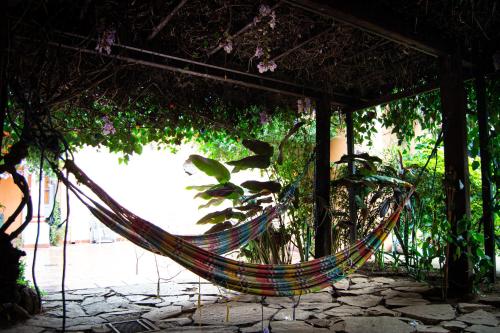 Κήπος έξω από το Hostal Villa Verde