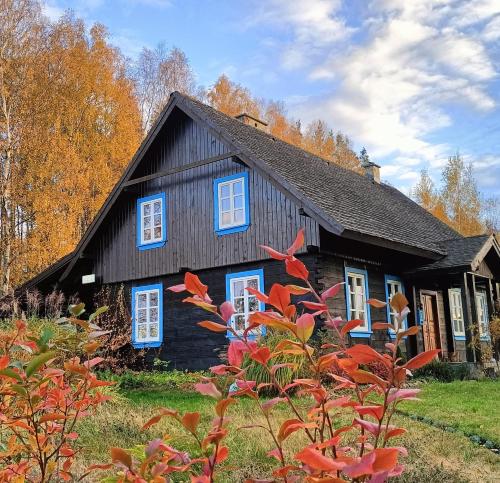 een zwart huis met blauwe ramen en bomen bij SoBądź - Po prostu bądź in Sobącz