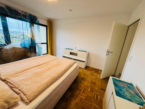 Spacious 72 sqm Moselblick apartment & top connection في ترير: غرفة نوم بسرير كبير ونافذة