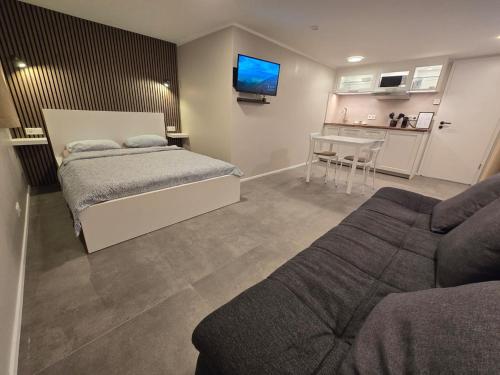 a bedroom with a bed and a couch and a kitchen at Ary & Pablo Airport Stay in Keflavík