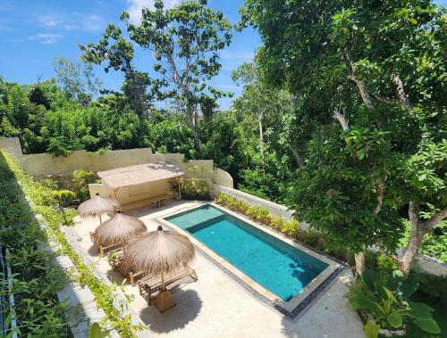 an overhead view of a swimming pool with umbrellas at Villa Solara in Uluwatu